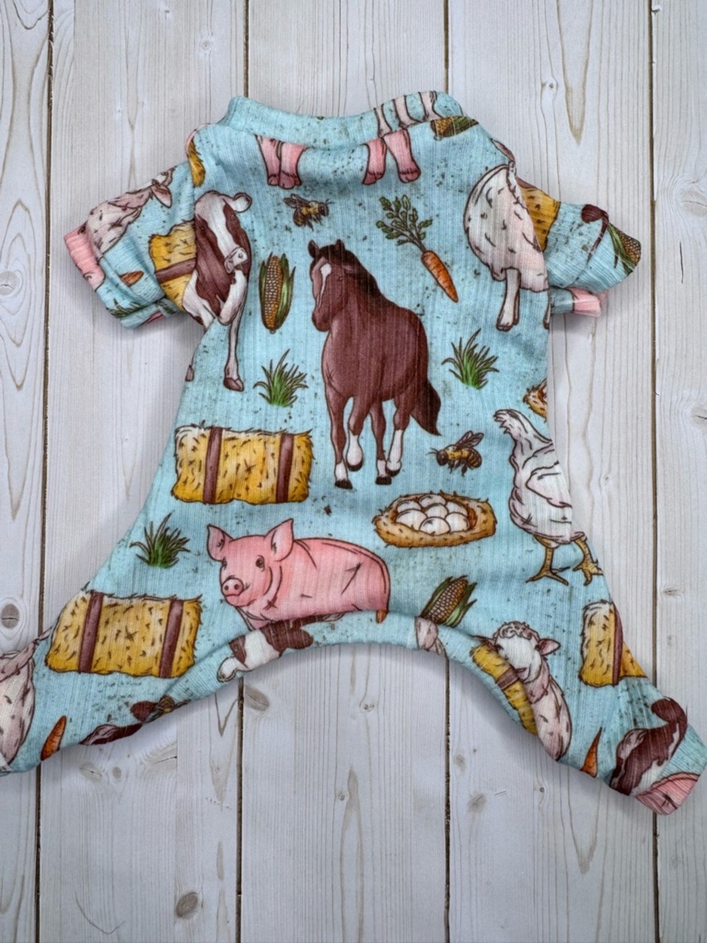 Teacup Dog PJ